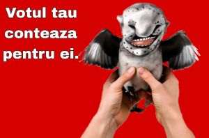 Ilustraţie grafică şi video: MAKE